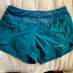 Patagonia Shorts